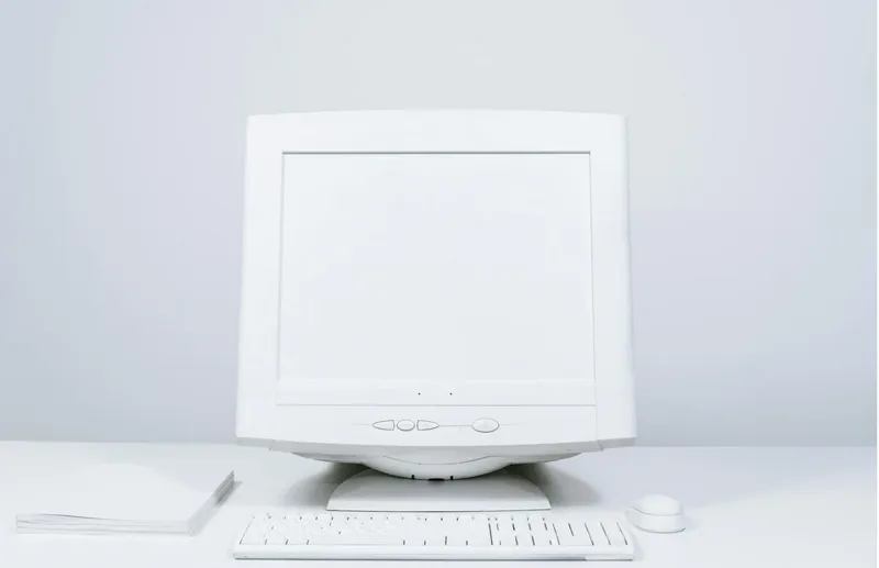 Misslyckade datorprojekt
